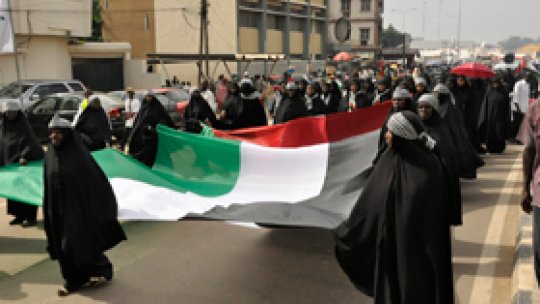 Fraţii Musulmani câştigă alegerile parţiale în Egipt