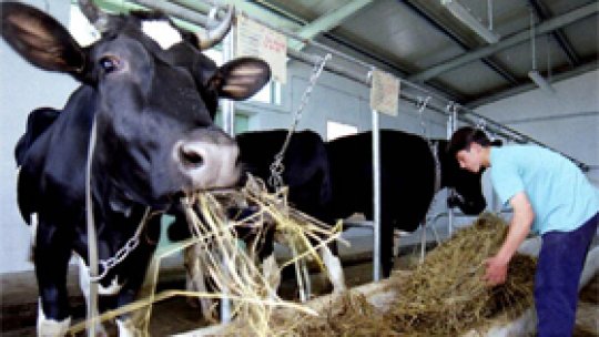 Cum să-ţi faci o fermă personală