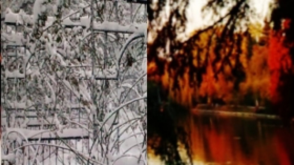 Bucureștii... dragostea mea