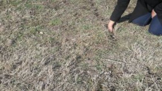 Falezele se prăbuşesc "bucată cu bucată"