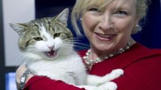 Motan "cu funcţie" în Downing Street