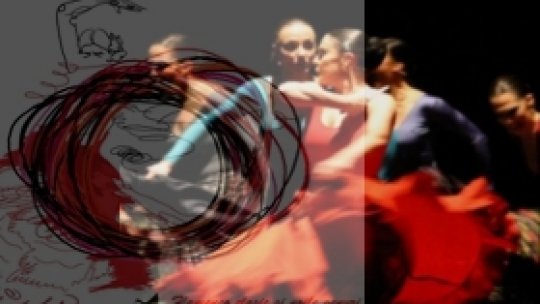 Flamenco în stare pură