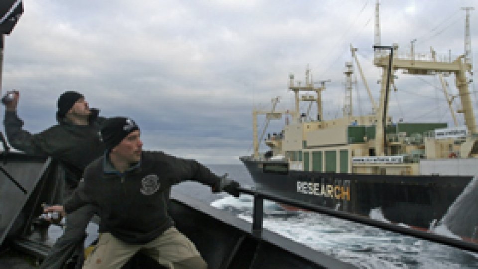 Japonia suspendă campania de pescuit balene