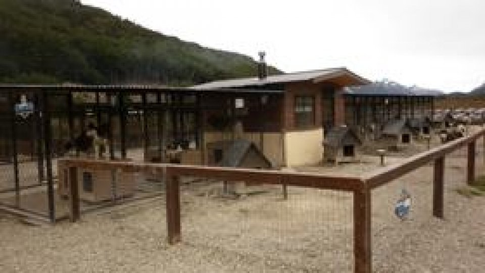 La crescătoria de câini din Ushuaia
