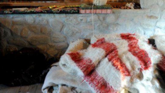 Tone de lână, aruncate pe câmp în Botoşani