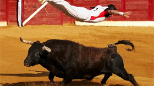 Simbolul Spaniei crează probleme diplomatice