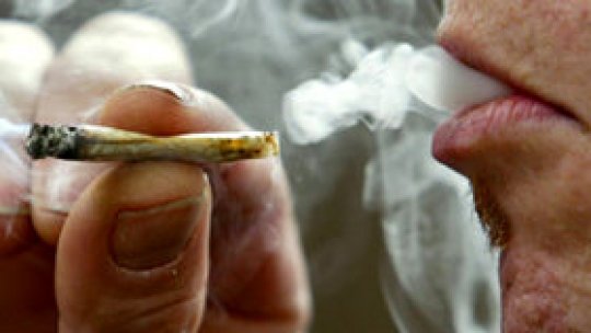 Etnobotanicele bagă tinerii în spital