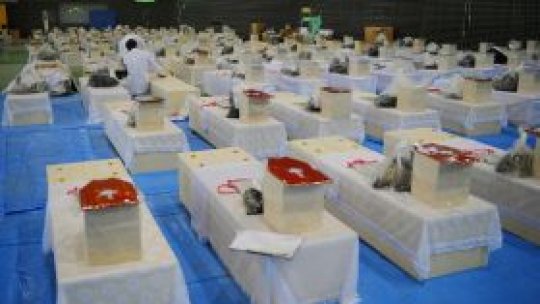 Gradul de alertă nucleară din Japonia creşte (LIVE UPDATES)