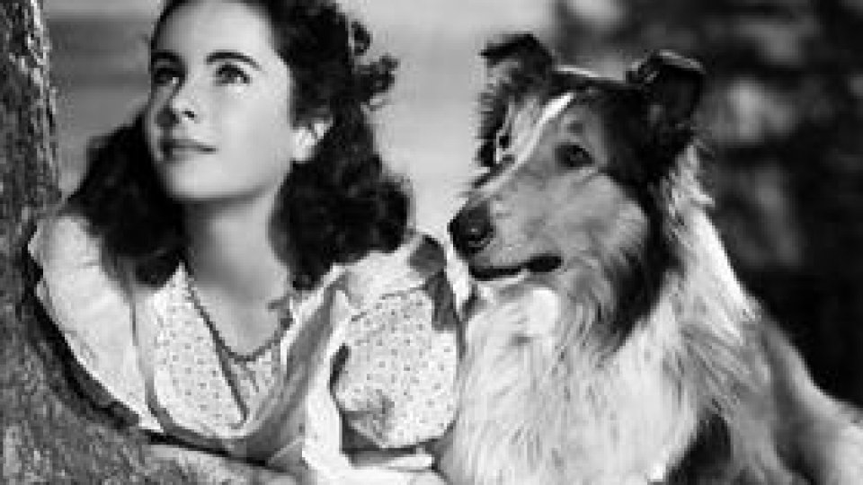 Remember Elizabeth Taylor