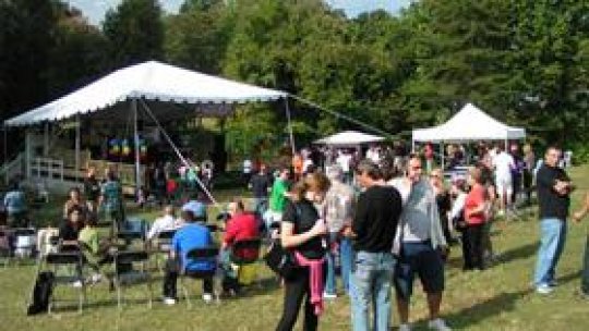 Curs de limba română pentru românii de peste hotare