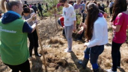 S-a dat startul la împăduriri