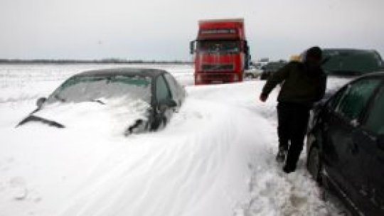 "Ziduri" naturale pe DN 2, E 85 şi DN10