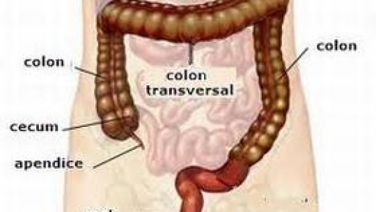 Când colonul dă dureri de  cap