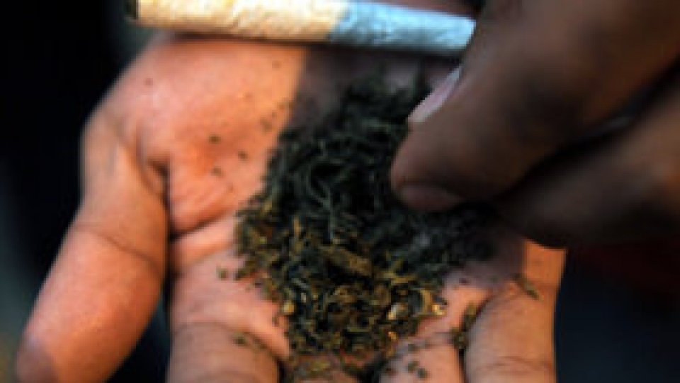 Ofensiva continuă la Arad