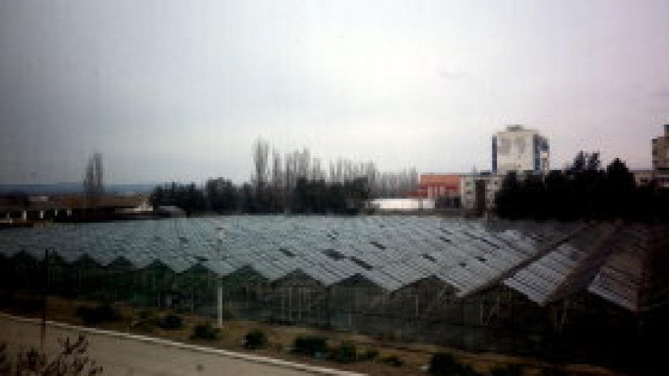 Întoarcerea la soiurile românești