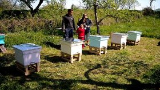 Băncile deschid agenţii în satele din Ardeal