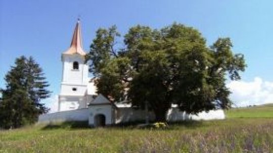 Arborele european al anului 2011 este din România