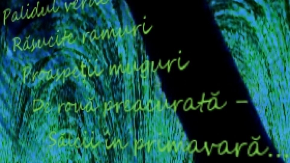 Cântec din sevă de salcie