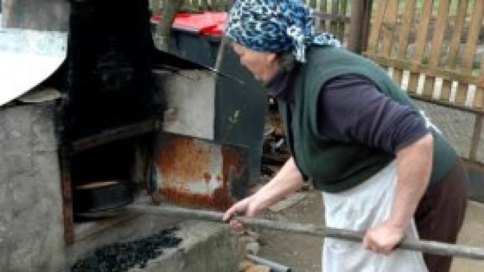 Gospodinele trebăluiesc de zor