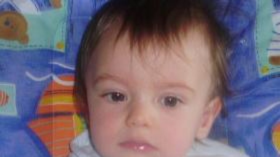 Ursul păcălit de vulpe