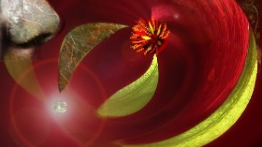 Parfum de primăvară