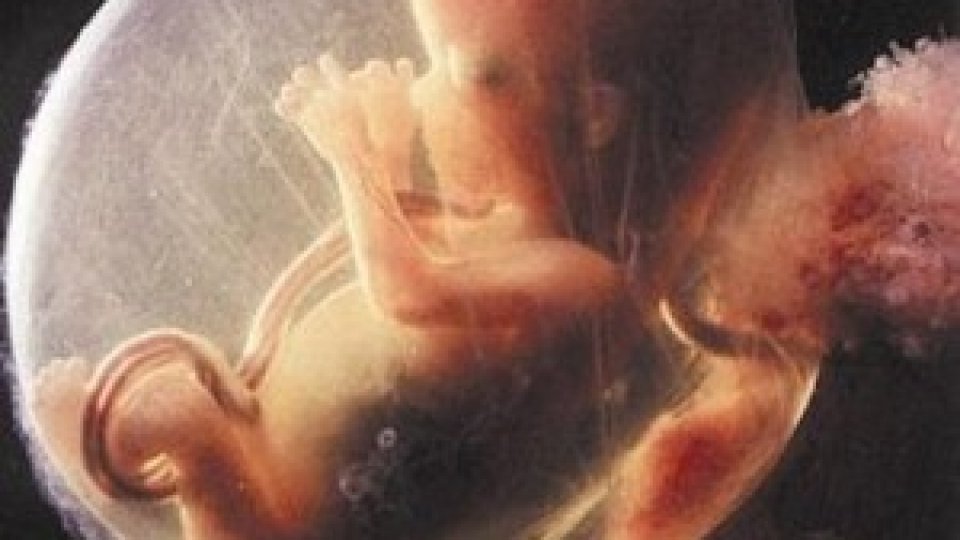 Biserica spune NU fertilizării in vitro