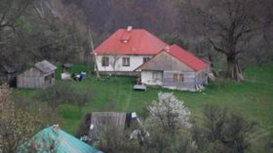 Valea Verde din Apuseni