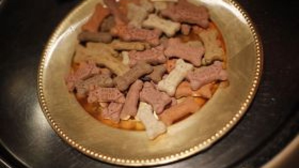 Soldaţi ruşi, "hrăniţi cu mâncare pentru câini"