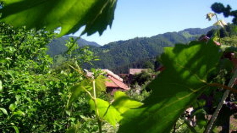 Muntele devine autostradă