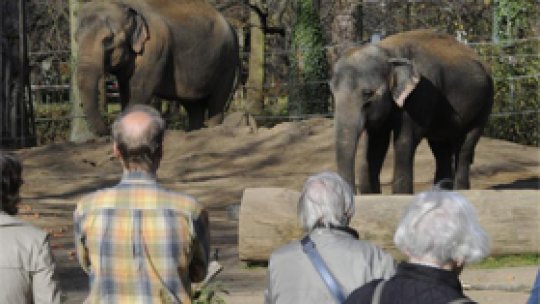 Record de vizitatori la Zoo Târgu Mureş