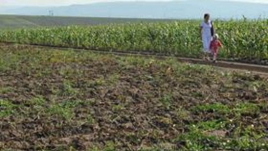 Taxa pe calamităţi şi dezastre naturale, de la 1 iunie