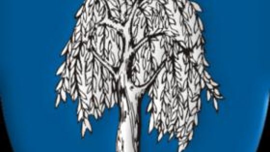 Administraţie după ureche