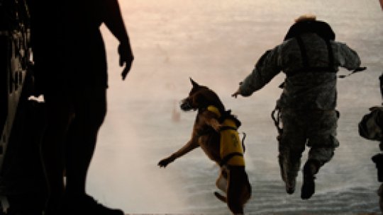 Reduceri ale cheltuielilor militare în SUA