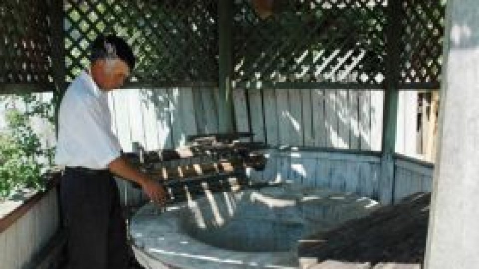 Lipsa apei, o problemă în mai multe judeţe