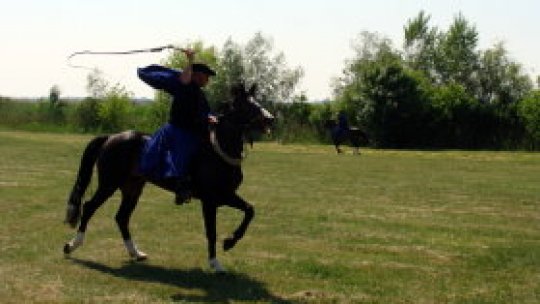 Călător prin stepa Ungariei