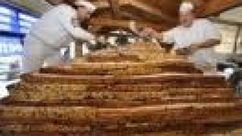 Tort uriaş cu fructe şi frişcă