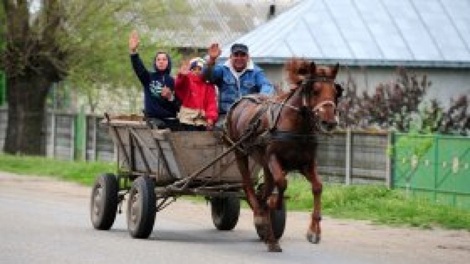 Oltenii, scutul și americanii