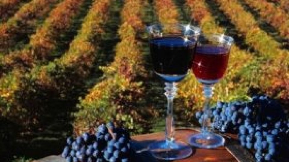 Bani europeni pentru turism românesc