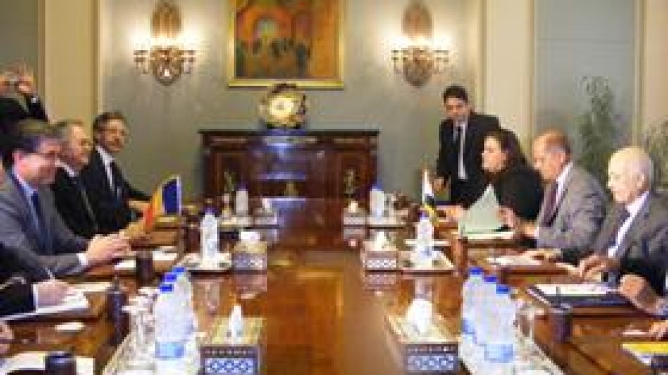 Egiptul "aşteaptă asistenţă din partea României"