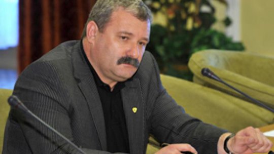 Defrişările ilegale, un pericol pentru pădurile din România