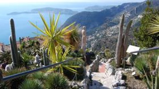 Care mai de care - 18 iunie 2011