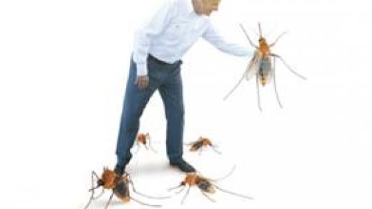 Oprescu și deratizarea