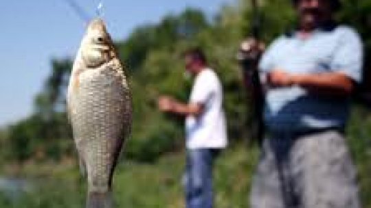 Meşteşug pe cale de dispariţie