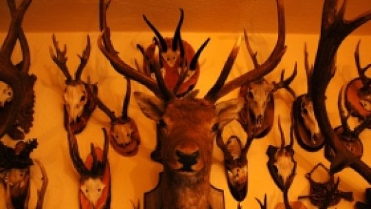 Pasiune pentru trofee cinegetice