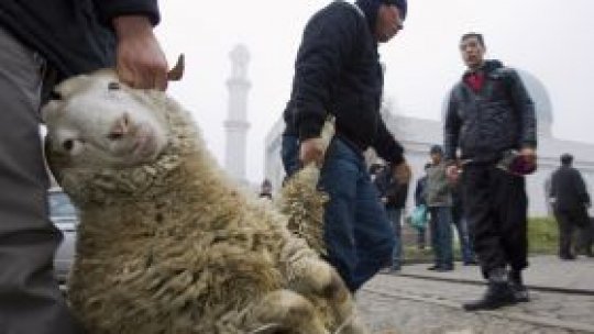 Noi reguli pentru sacrificarea animalelor în Olanda
