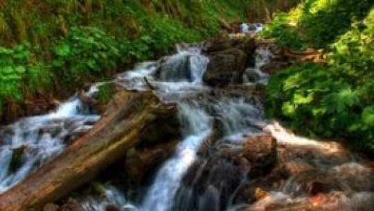 Izvor ciudat, în Sălaj