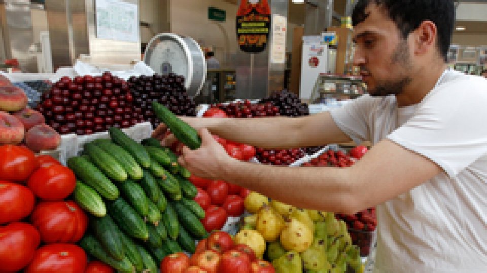 Romanian cucumber planters’ significant losses