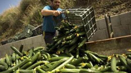 Cultivatorii români de castraveţi "ar putea fi despăgubiţi"
