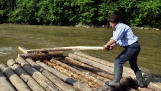 Ultima plută pe Bistriţa