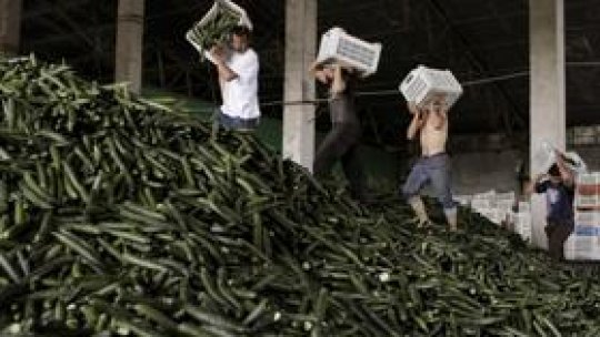 ‘Nine million euros’ losses for Romanian cultivators